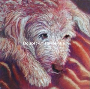 Dog day afternoon pastel sec encadré