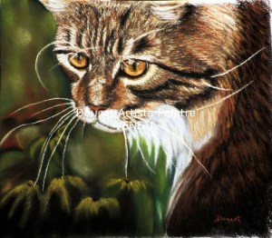 Chat pastel sec (vendu)