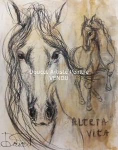  VENDU  altera vita 16 x 20