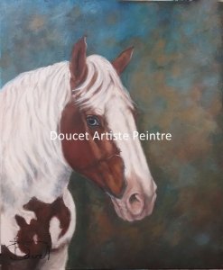 Noah final (commande)