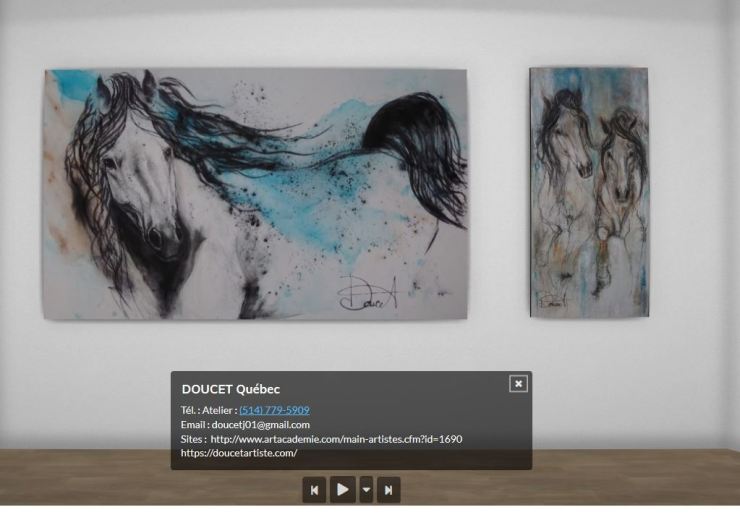 MMA Galerie virtuelle_DoucetArtiste