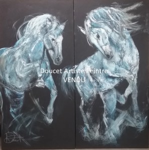 Diptyque_Chorégraphie équine